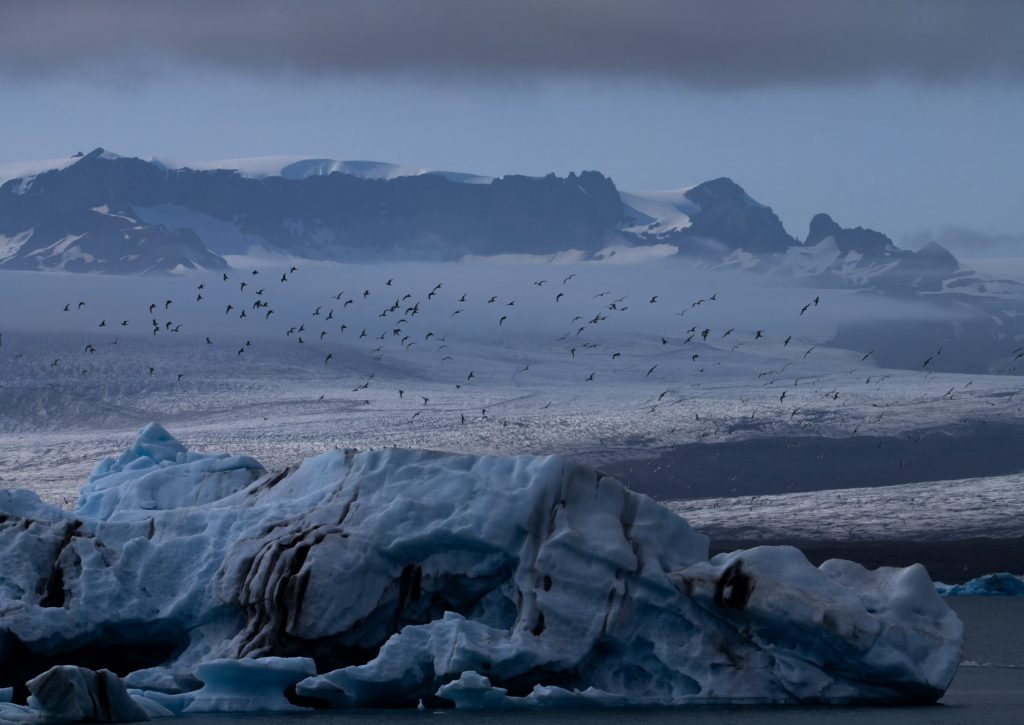 Glacier Lagoon